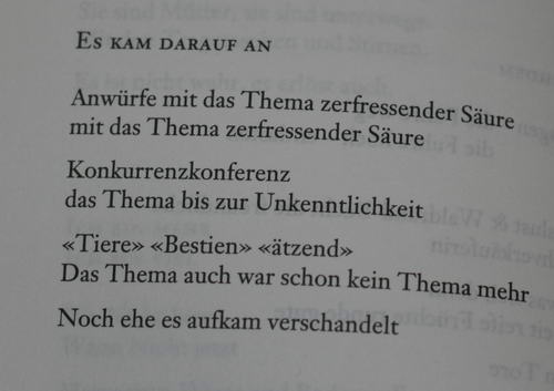 Aus:  SONANZ - 5-Minuten-Notate