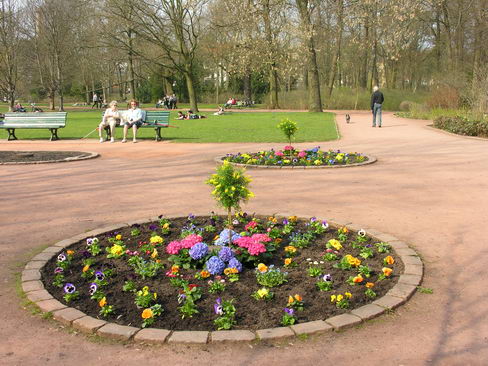 Blumen im Bürgerpark Blumen im Bürgerpark