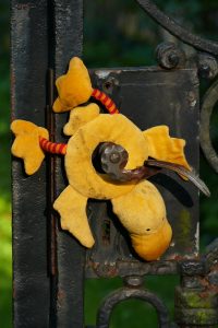 Ente an Türklinke