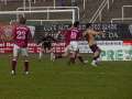 05-03-25-bfc-cotta-169
