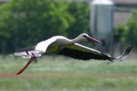 06-05-28-trog-bfc-183