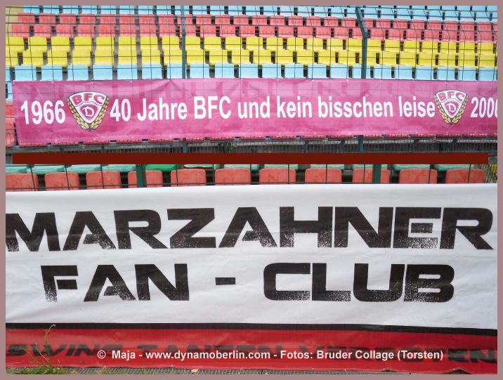 11-06-08-pokfinale-006